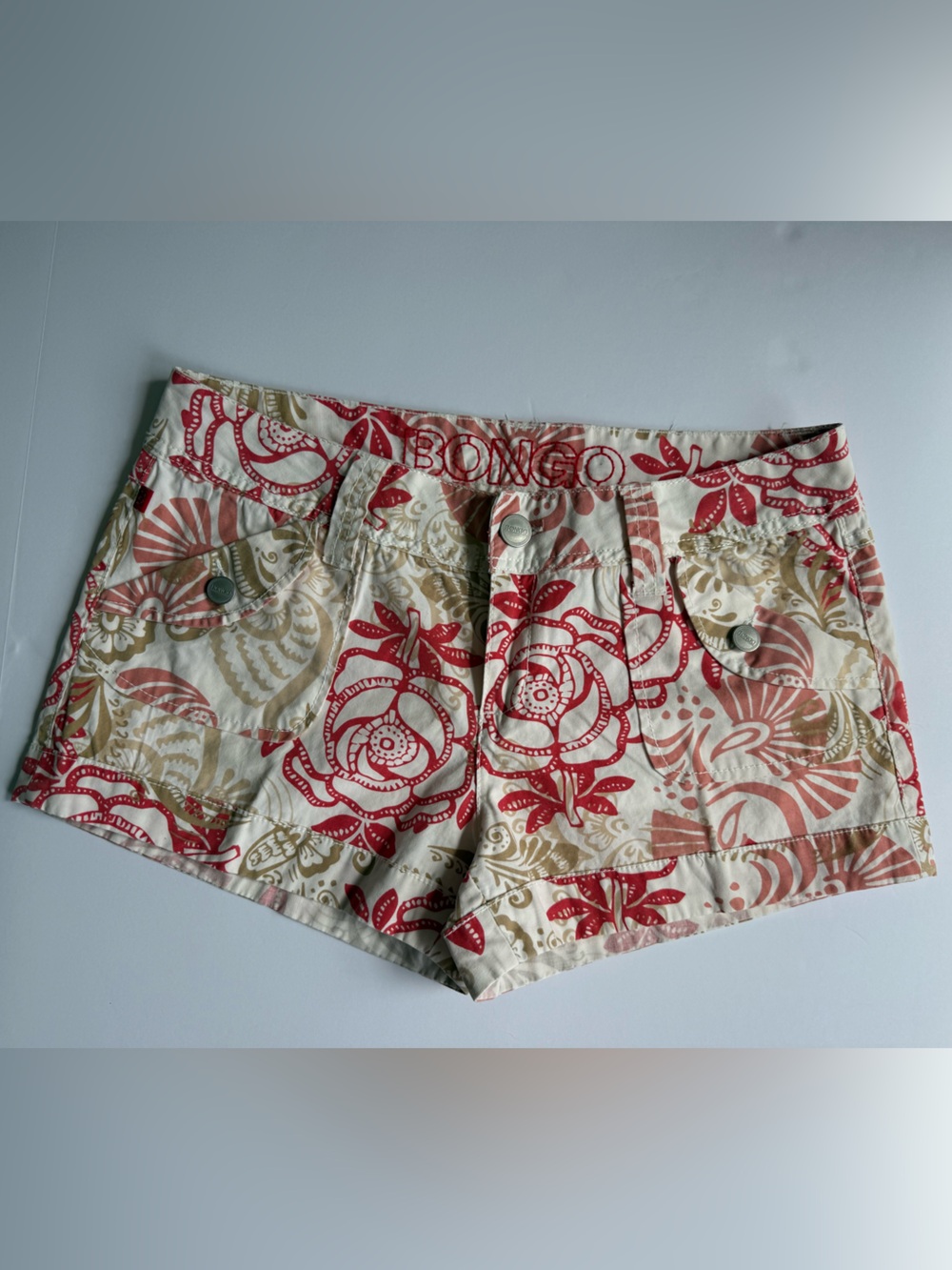 Y2K 2000s Bongo Floral Low Rise Cargo Shorts size 11